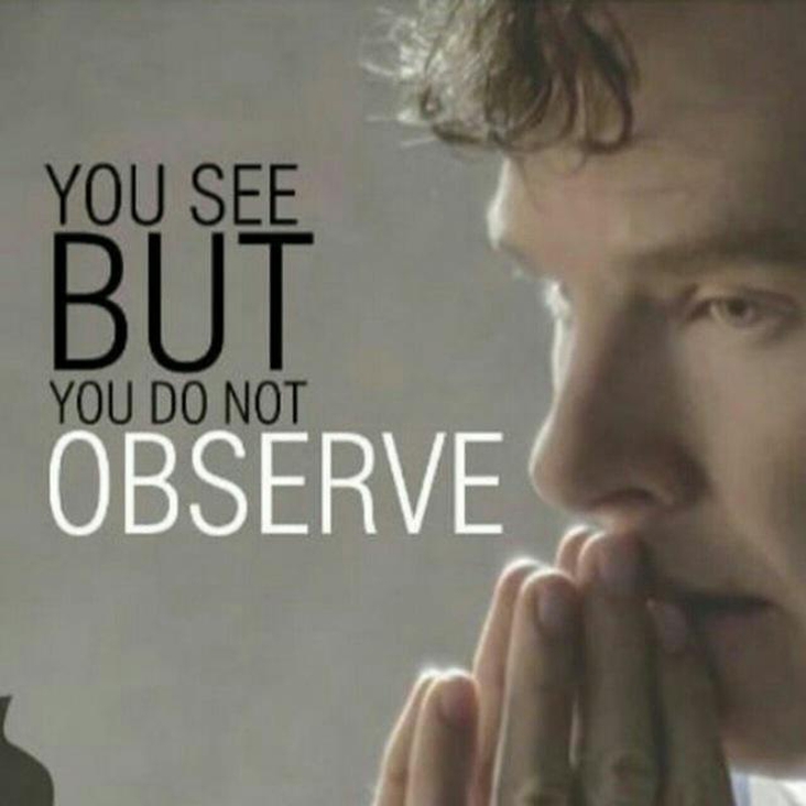 You see but you do not observe