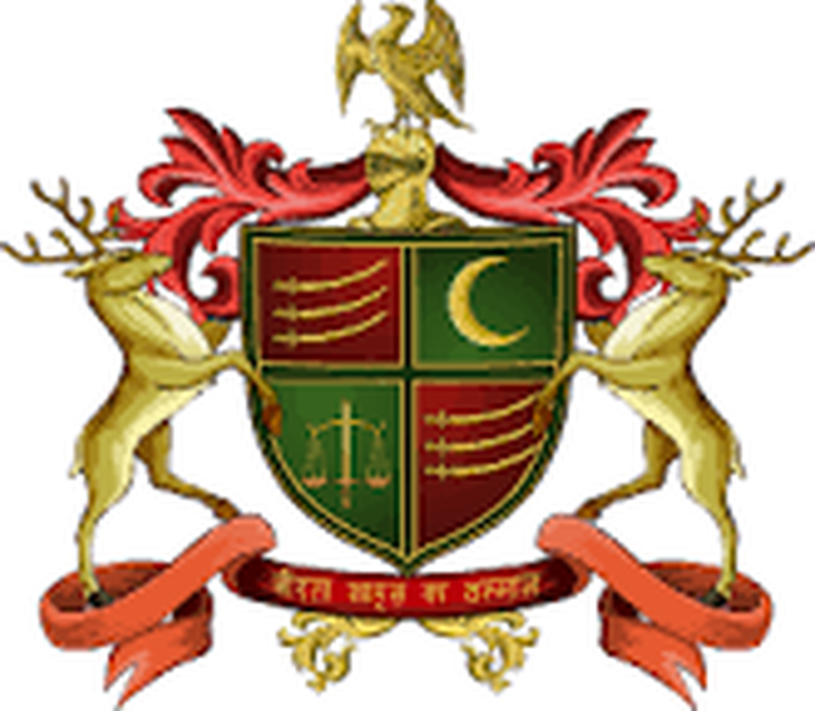 Coat of Arms For Party