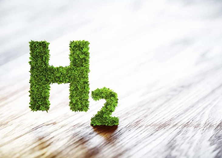 Energy Ministers Call for Rise in Hydrogen-Powered Vehicles