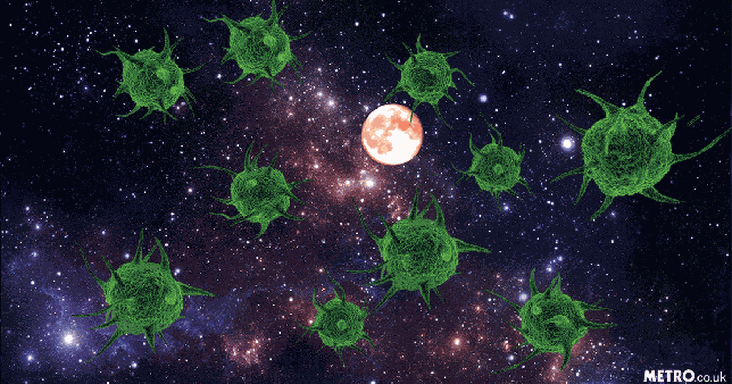 Coronavirus from Space?