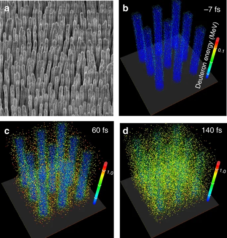 Micro-scale fusion in dense relativistic nanowire array plasmas