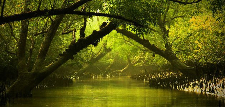 Sundarbans in Bangladesh