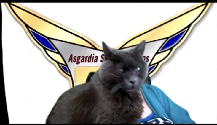 Asgardian Cat