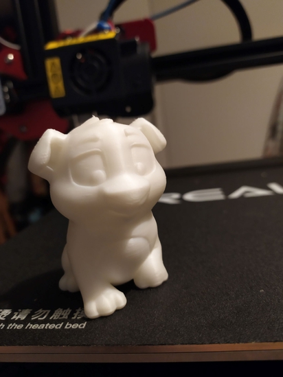 First 3D print
