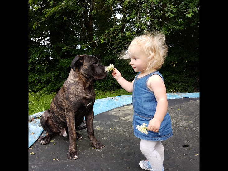 My grandaughter and Odin..
