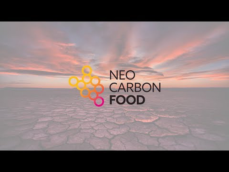 Food from electricity – Neo-Carbon Food