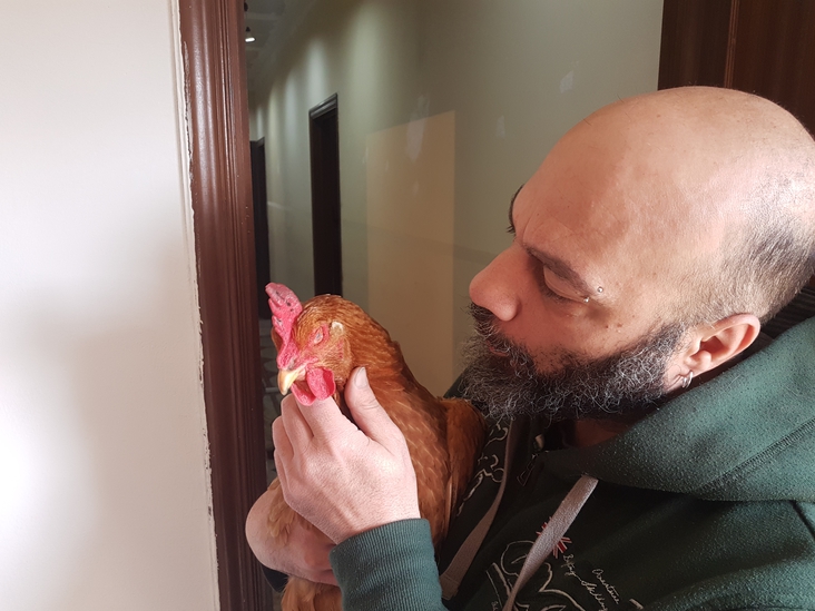 la mia gallinella innamorata.