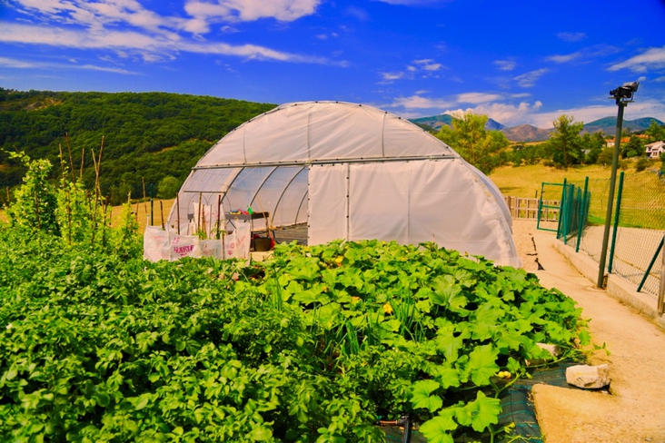 Como tener una huerta de alimentos vegetales sostenibles en el espacio