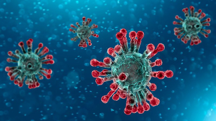 Una alentadora noticia sobre la vacuna contra el coronavirus