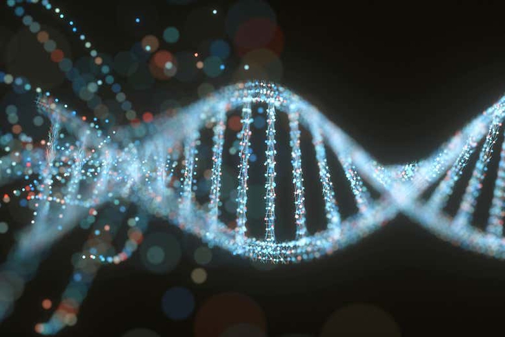 The human genome has finally been completely sequenced after 20 years