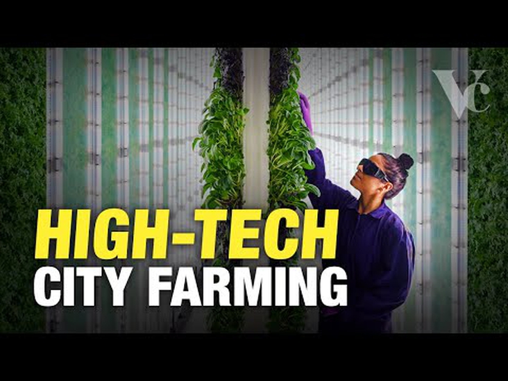 Vertical farming and Circular City