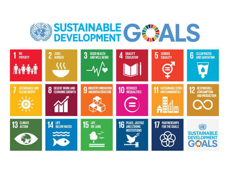 THE GLOBAL GOALS AND ASGARDIA