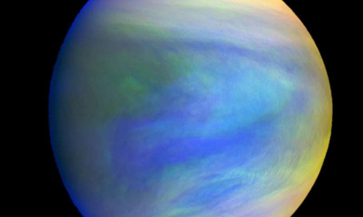 A search of extraterrestrial microbial life in the clouds of the Venus.