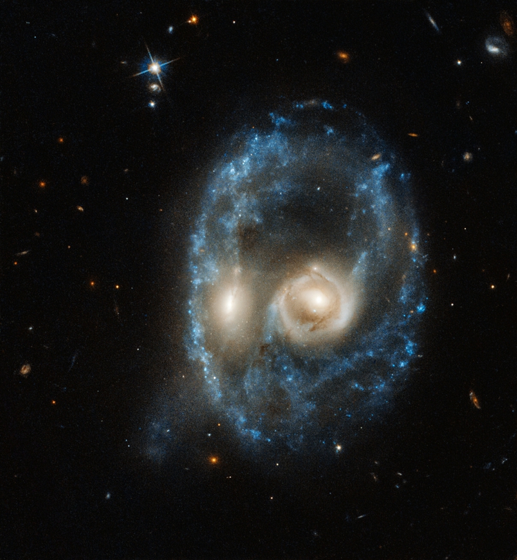 Staring Contest with the Universe: The Intriguing Tale of AM 2026-424