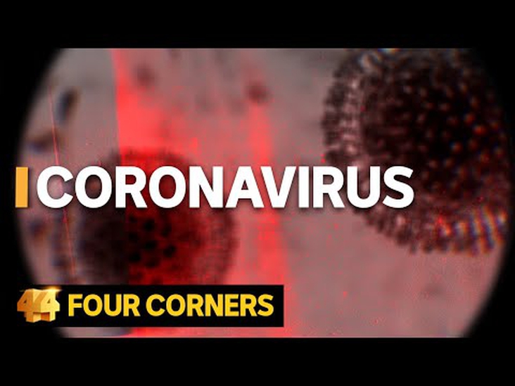 How did the Corona Virus situation start.