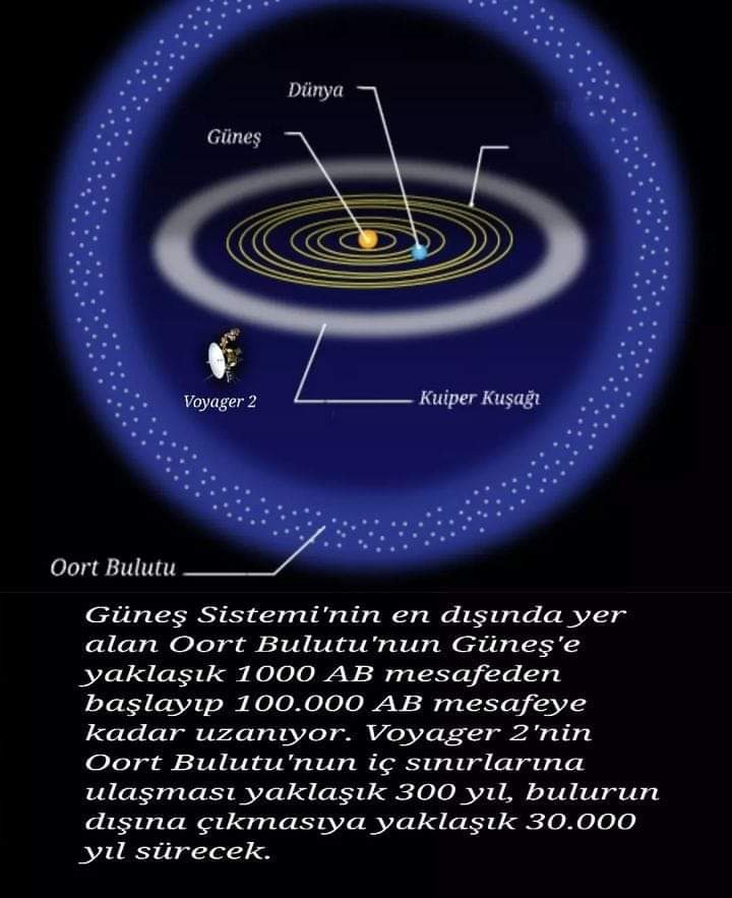 Oort Bulutu