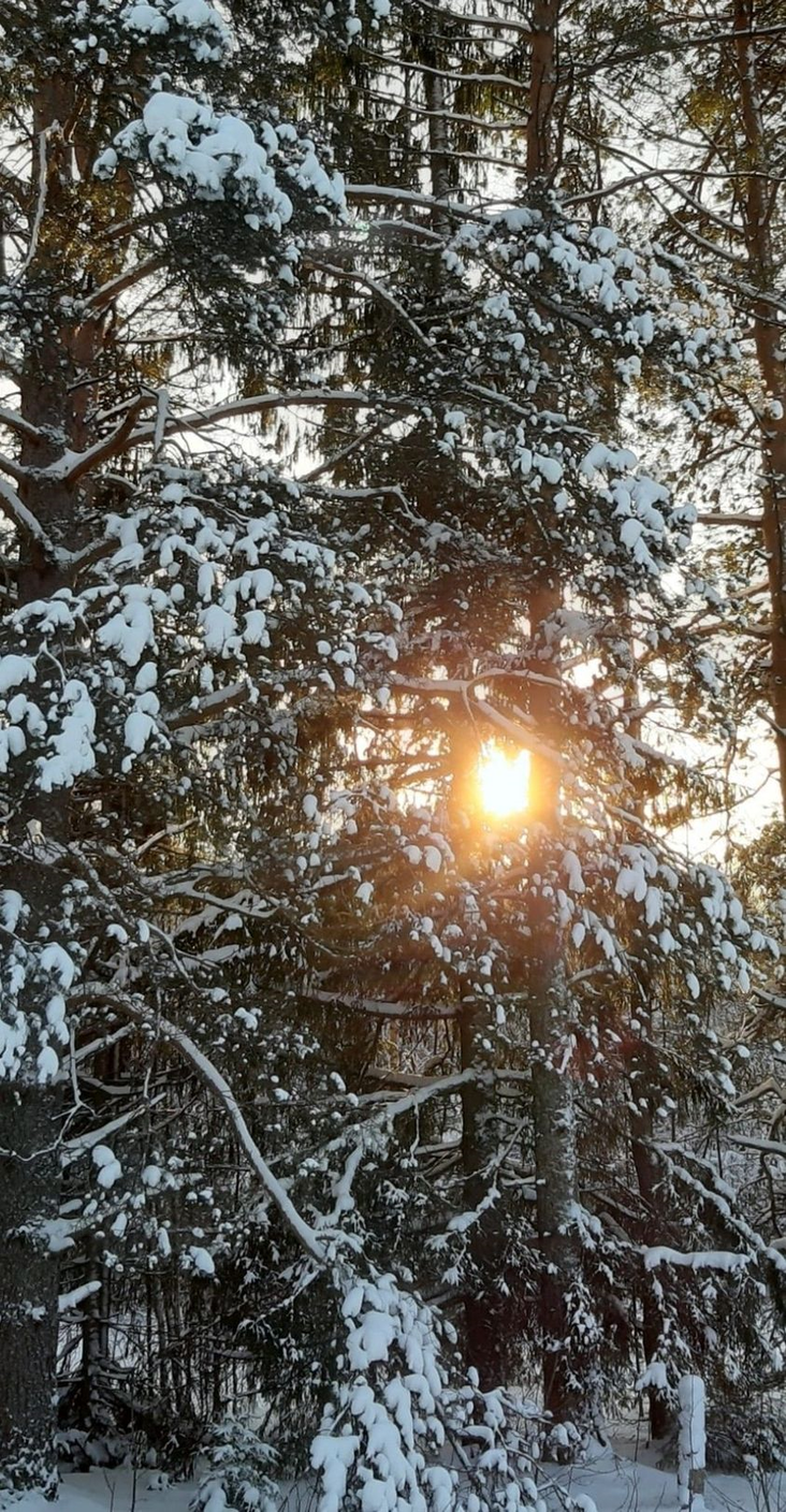 Winter Solstice Day in Asgardia 20 Capricornus 0007