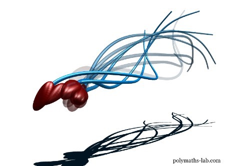 Иллюстрация быстрого движения хвоста сперматозоида в 3D. Источник: polymaths-lab.com